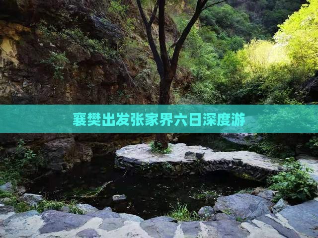 襄樊出发张家界六日深度游