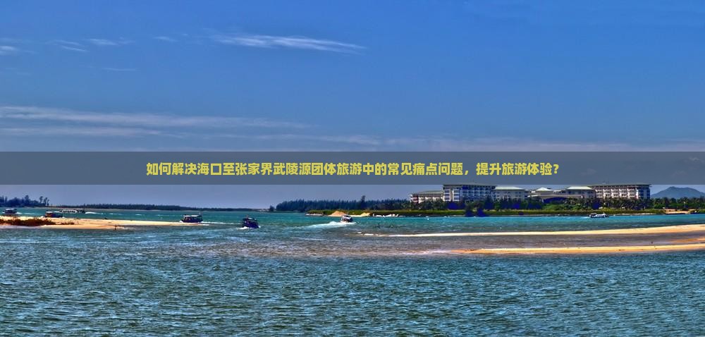 如何解决海口至张家界武陵源团体旅游中的常见痛点问题，提升旅游体验？