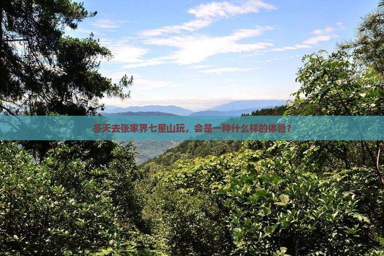 冬天去张家界七星山玩，会是一种什么样的体验？