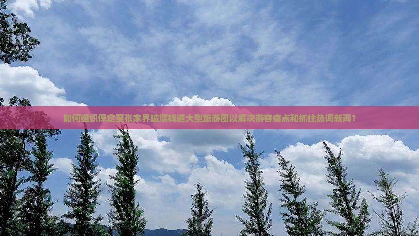 如何组织保定至张家界玻璃栈道大型旅游团以解决游客痛点和抓住热词新词？