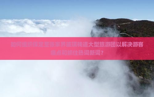 如何组织保定至张家界玻璃栈道大型旅游团以解决游客痛点和抓住热词新词？