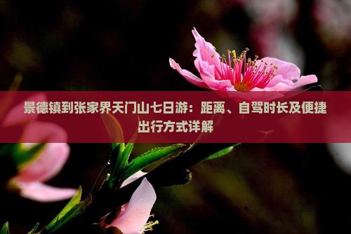 景德镇到张家界天门山七日游：距离、自驾时长及便捷出行方式详解