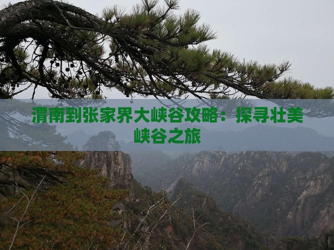 渭南到张家界大峡谷攻略：探寻壮美峡谷之旅