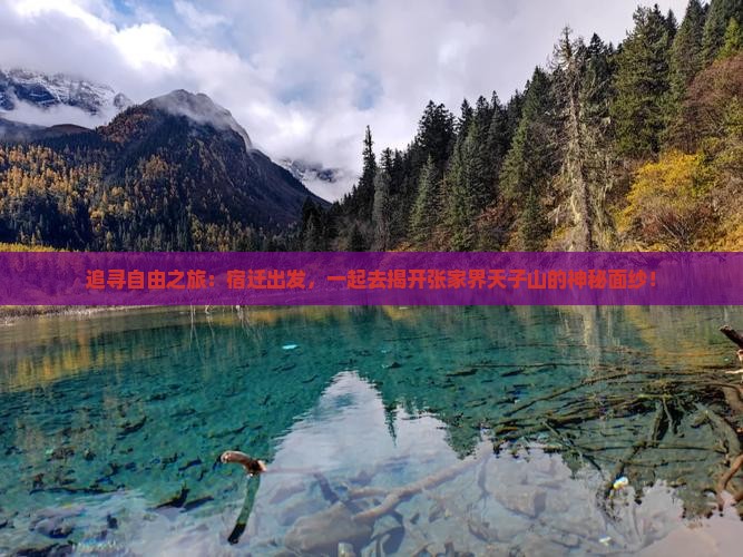 追寻自由之旅：宿迁出发，一起去揭开张家界天子山的神秘面纱！