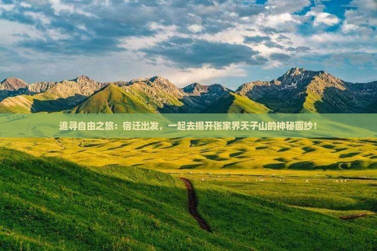 追寻自由之旅：宿迁出发，一起去揭开张家界天子山的神秘面纱！