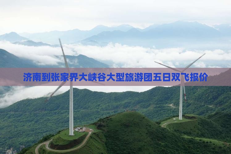 济南到张家界大峡谷大型旅游团五日双飞报价
