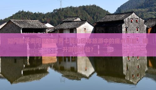 如何解决衡阳至张家界七星山团体旅游中的痛点问题，提升游客体验？
