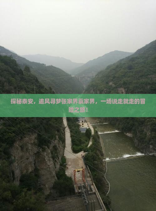 探秘泰安，追风寻梦张家界袁家界，一场说走就走的冒险之旅！