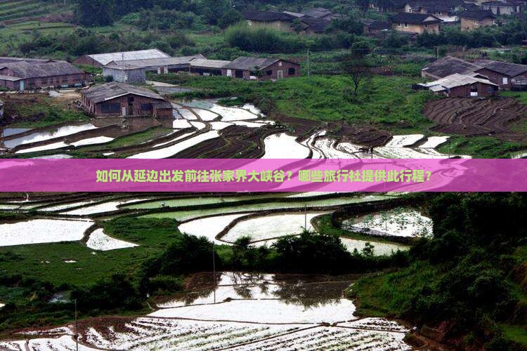 如何从延边出发前往张家界大峡谷？哪些旅行社提供此行程？