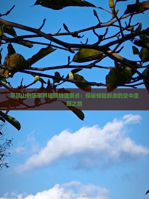 平顶山到张家界玻璃栈道景点：探秘惊险刺激的空中走廊之旅