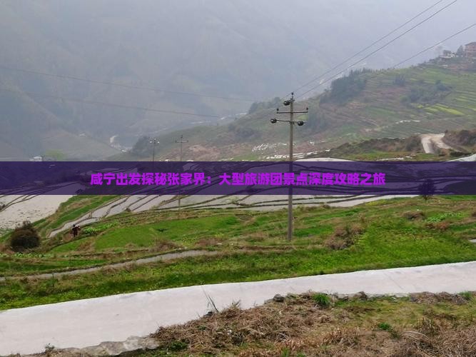 咸宁出发探秘张家界：大型旅游团景点深度攻略之旅