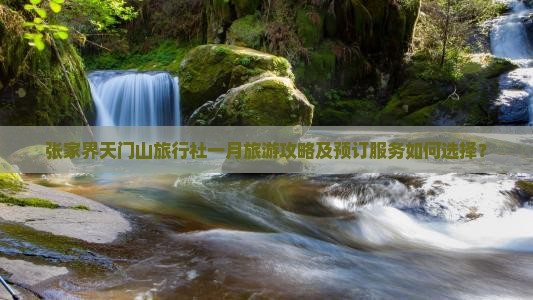 张家界天门山旅行社一月旅游攻略及预订服务如何选择？