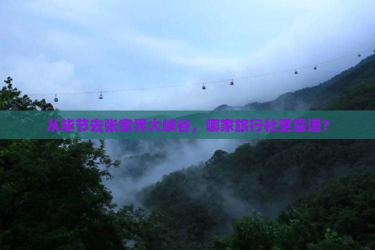 从毕节去张家界大峡谷，哪家旅行社更靠谱？