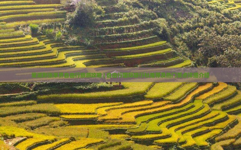 巢湖到张家界自由行旅游攻略 | 自由行国际旅行社推荐及热门景点详细介绍