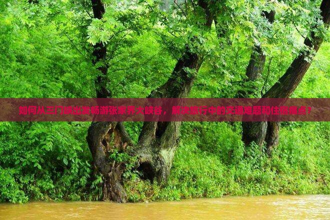 如何从三门峡出发畅游张家界大峡谷，解决旅行中的交通难题和住宿痛点？