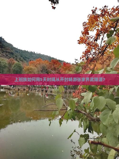上班族如何用5天时间从开封畅游张家界武陵源？