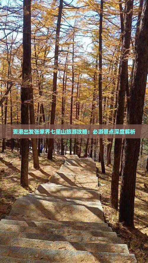 贵港出发张家界七星山旅游攻略：必游景点深度解析