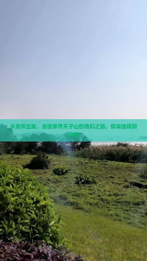 从安庆出发，去张家界天子山的奇幻之旅，你会选择同行吗？