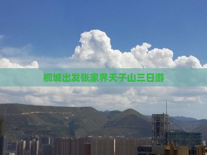 桐城出发张家界天子山三日游