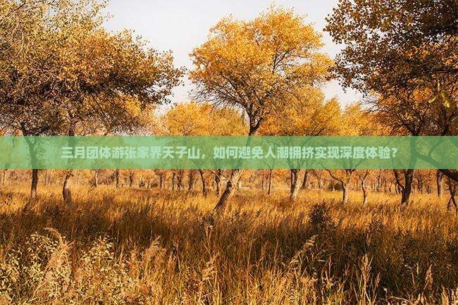 三月团体游张家界天子山，如何避免人潮拥挤实现深度体验？