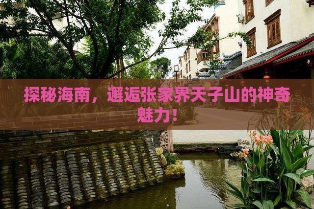 探秘海南，邂逅张家界天子山的神奇魅力！