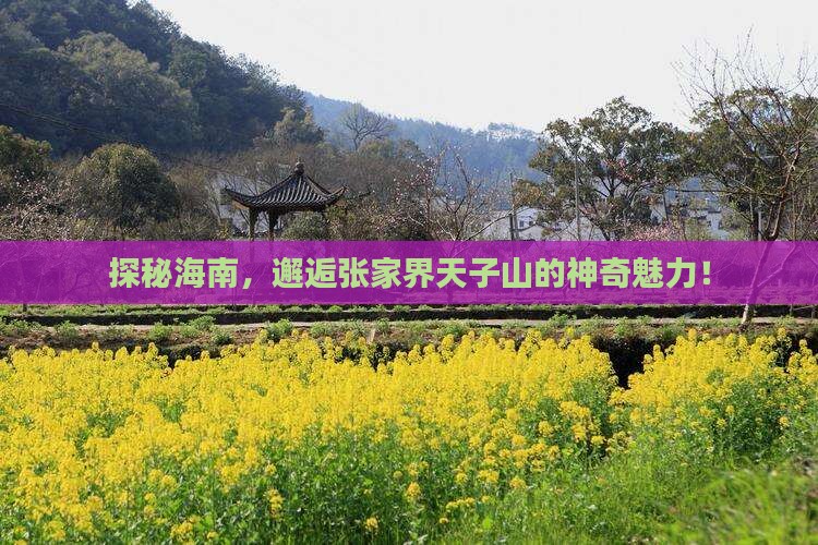 探秘海南，邂逅张家界天子山的神奇魅力！