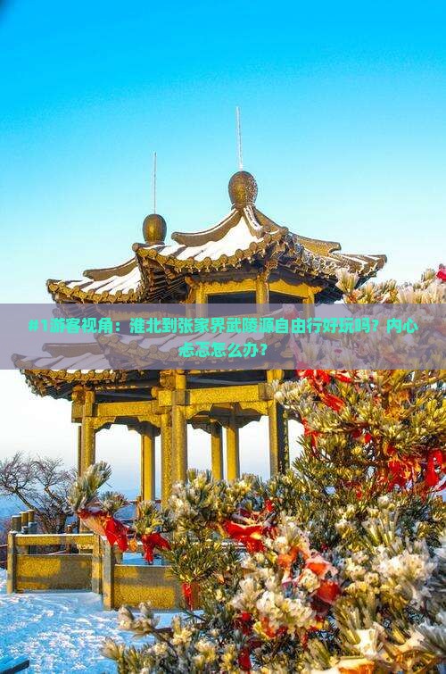 #1游客视角：淮北到张家界武陵源自由行好玩吗？内心忐忑怎么办？