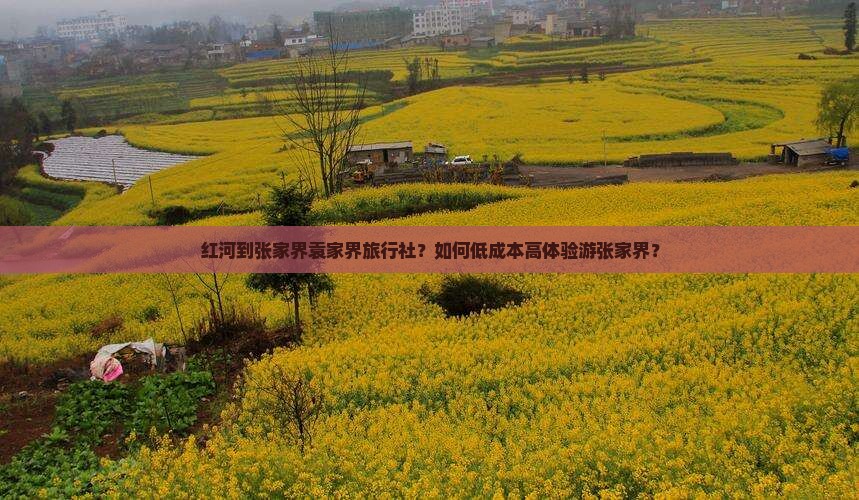 红河到张家界袁家界旅行社？如何低成本高体验游张家界？