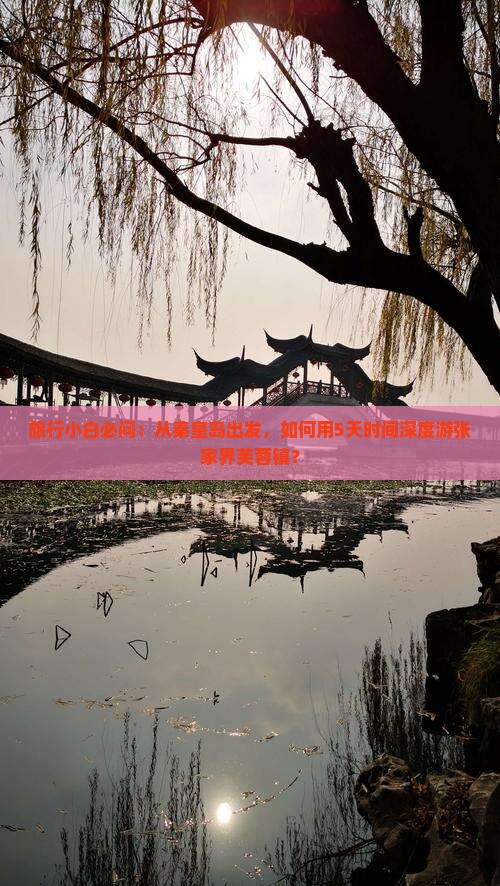 旅行小白必问：从秦皇岛出发，如何用5天时间深度游张家界芙蓉镇？