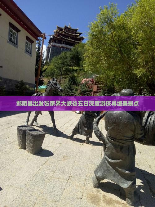 鄢陵县出发张家界大峡谷五日深度游探寻绝美景点