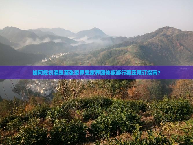 如何规划酒泉至张家界袁家界团体旅游行程及预订指南？