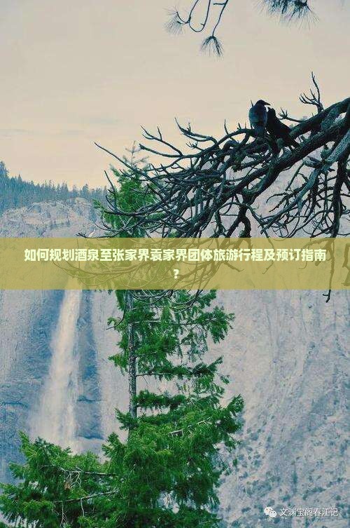 如何规划酒泉至张家界袁家界团体旅游行程及预订指南？