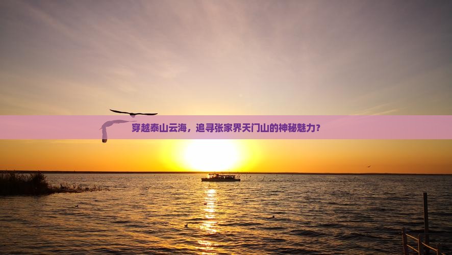 穿越泰山云海，追寻张家界天门山的神秘魅力？