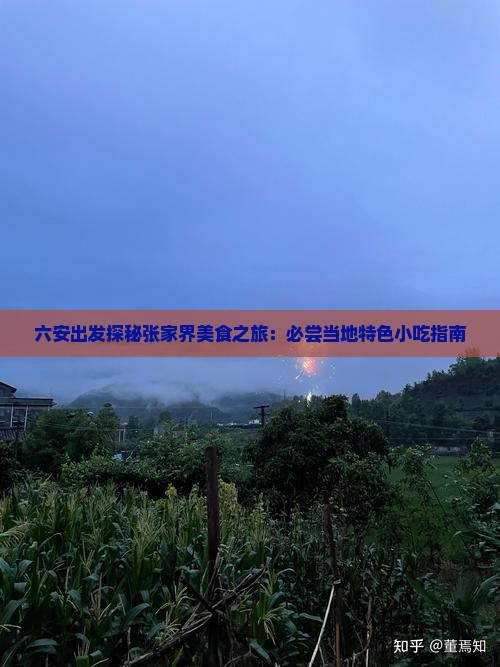 六安出发探秘张家界美食之旅：必尝当地特色小吃指南