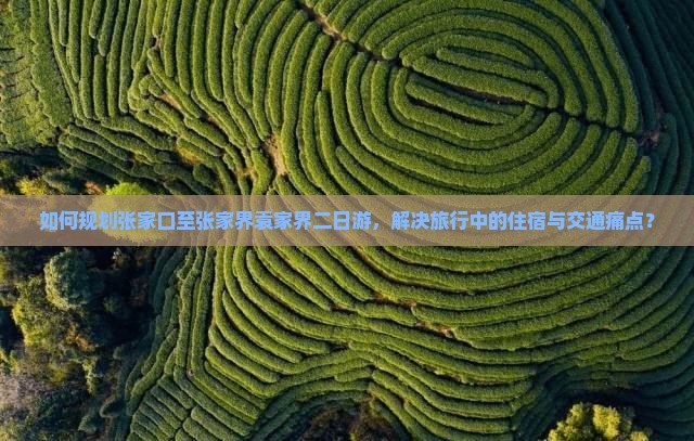 如何规划张家口至张家界袁家界二日游，解决旅行中的住宿与交通痛点？