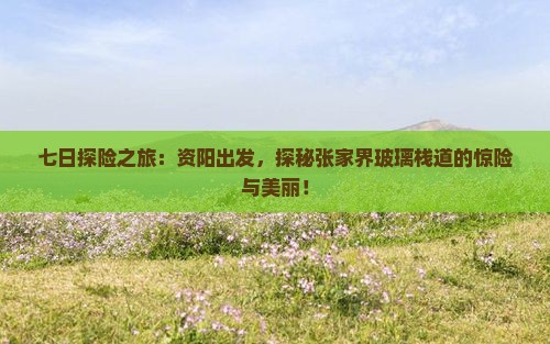 七日探险之旅：资阳出发，探秘张家界玻璃栈道的惊险与美丽！