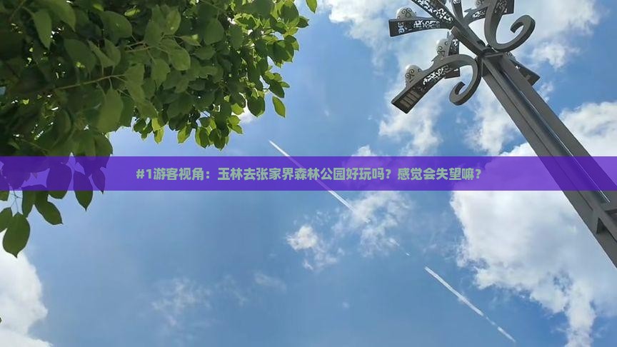 #1游客视角：玉林去张家界森林公园好玩吗？感觉会失望嘛？