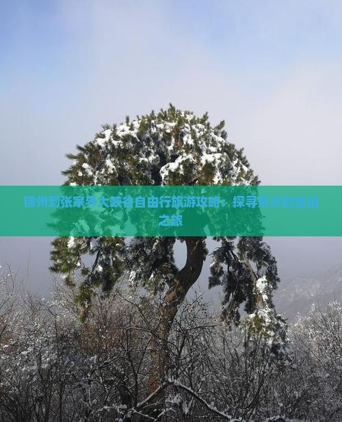 锦州到张家界大峡谷自由行旅游攻略：探寻景点的自由之旅