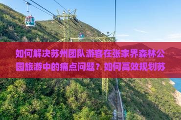 如何解决苏州团队游客在张家界森林公园旅游中的痛点问题？如何高效规划苏州至张家界森林公园的团体旅游行程？