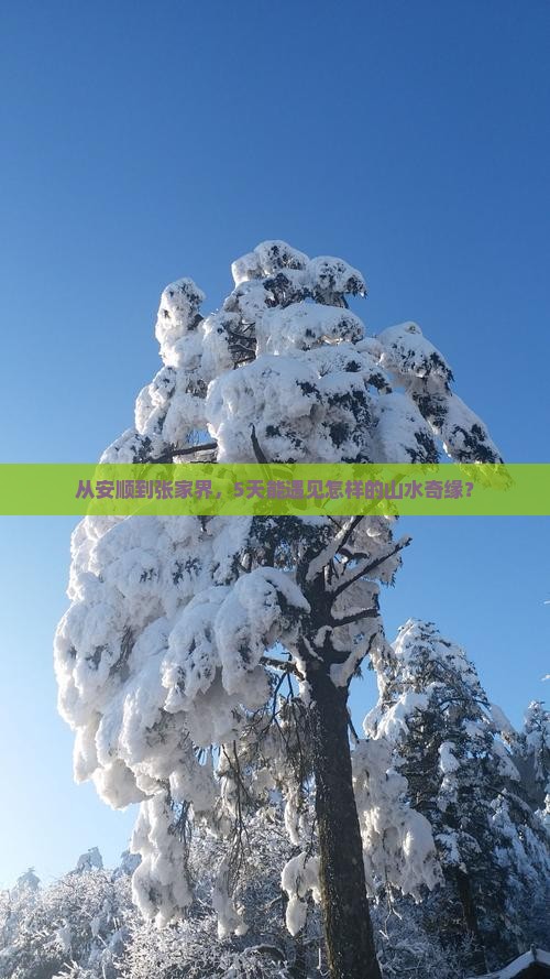 从安顺到张家界，5天能遇见怎样的山水奇缘？