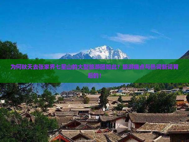 为何秋天去张家界七星山的大型旅游团如此？旅游痛点与热词新词背后的！