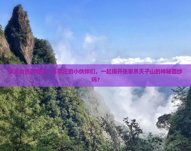 探索自然的奇迹！石家庄的小伙伴们，一起揭开张家界天子山的神秘面纱吗？