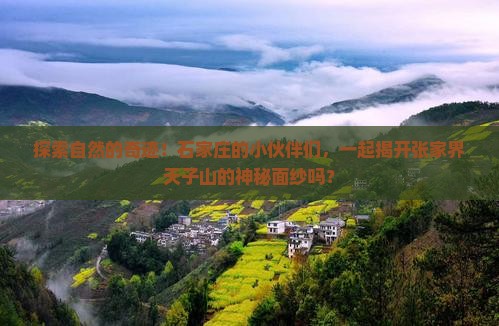 探索自然的奇迹！石家庄的小伙伴们，一起揭开张家界天子山的神秘面纱吗？