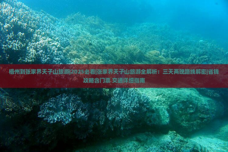 梧州到张家界天子山旅游