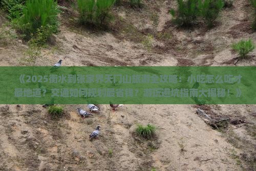 衡水到张家界天门山旅游小吃