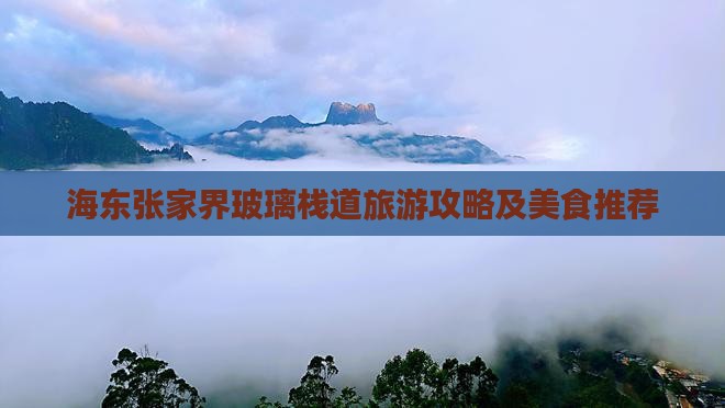 海东去张家界玻璃栈道旅游小吃