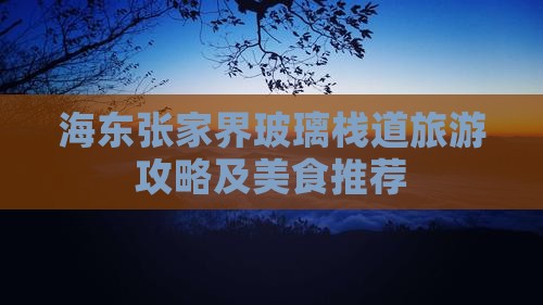 海东去张家界玻璃栈道旅游小吃