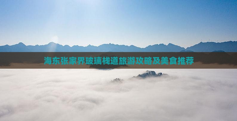 海东去张家界玻璃栈道旅游小吃