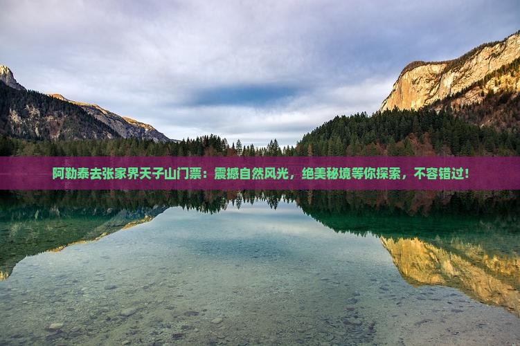 阿勒泰去张家界天子山门票