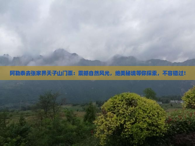 阿勒泰去张家界天子山门票